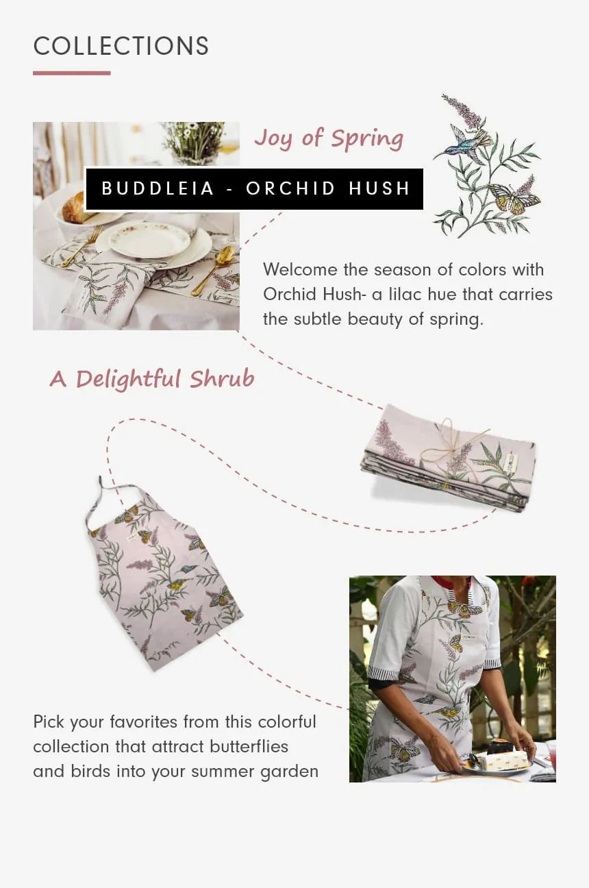 Buddleia - Orchid Hush