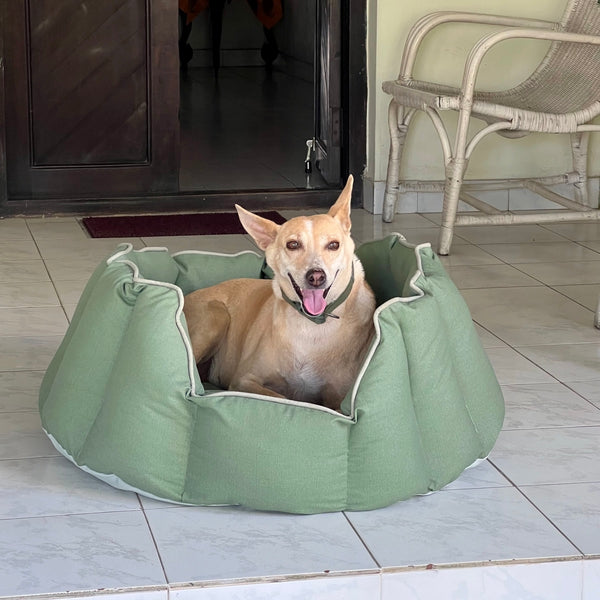 Acrylic Coated Dog Bed - Large - Loden Green