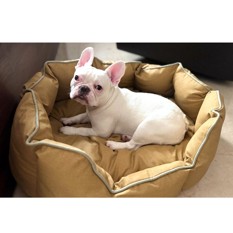 Acrylic Coated Dog Bed - Medium - Bronze Mist