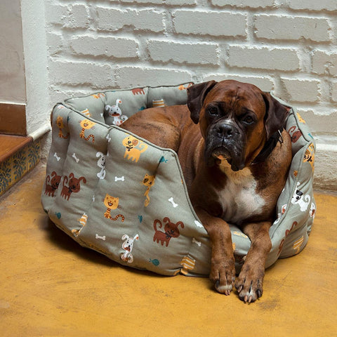 Acrylic Coated Dog Bed - Large - Loulou's Follies