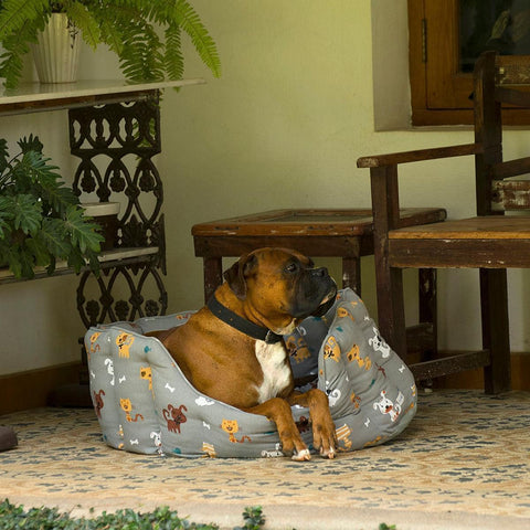 Acrylic Coated Dog Bed - Large - Loulou's Follies