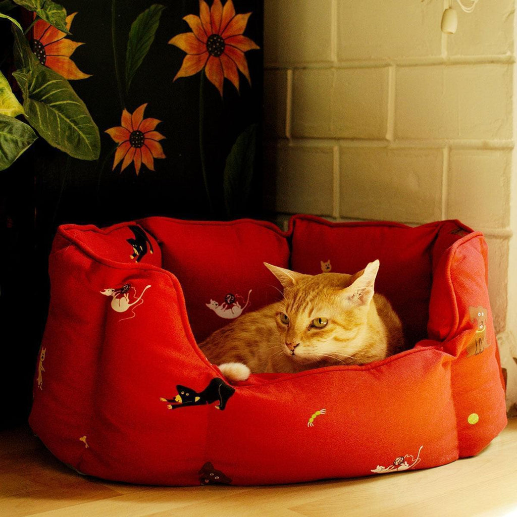 Red online cat bed