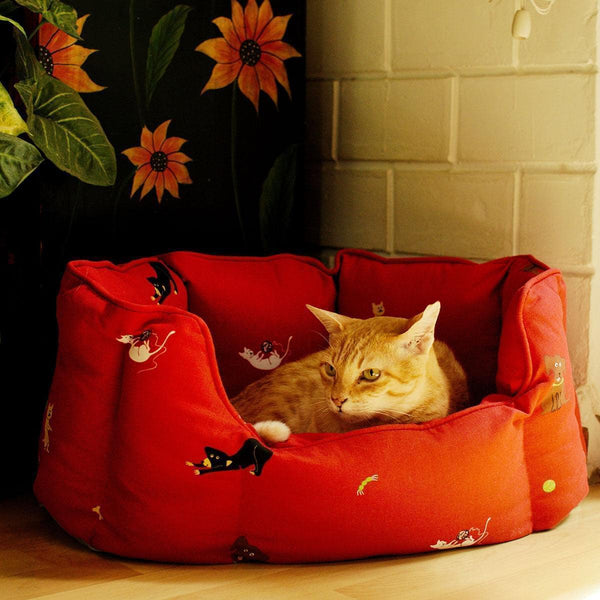 Acrylic Coated Cat Bed - Kiko & Patch
