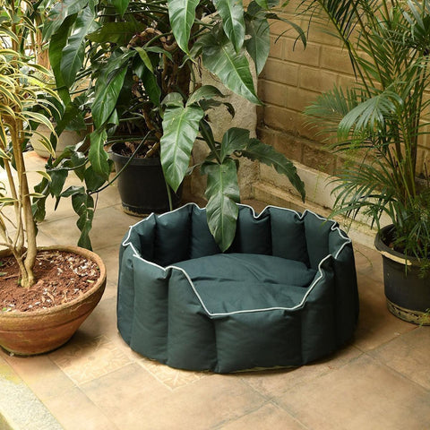Acrylic Coated Dog Bed - Large - Kyoko - Pine Green