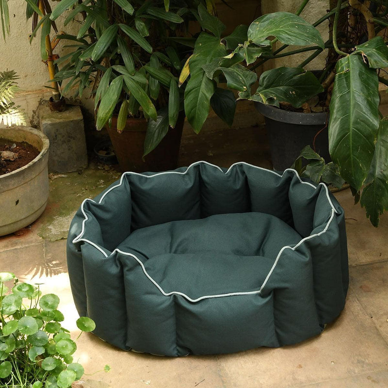 Acrylic Coated Dog Bed - Medium - Kyoko - Pine Green