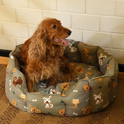 Acrylic Coated Dog Bed - Medium - Loulou's Follies