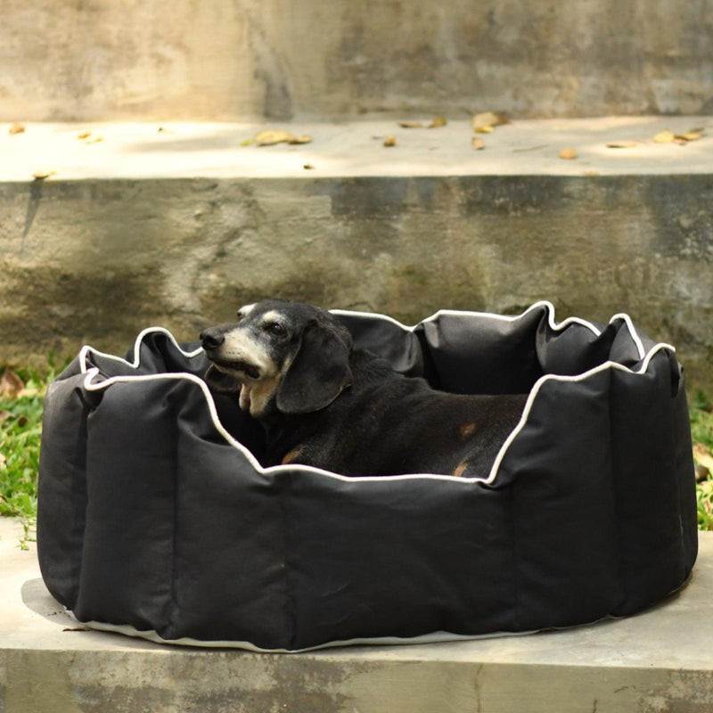 Acrylic Coated Dog Bed - Medium - Kyoko - Midnight Black