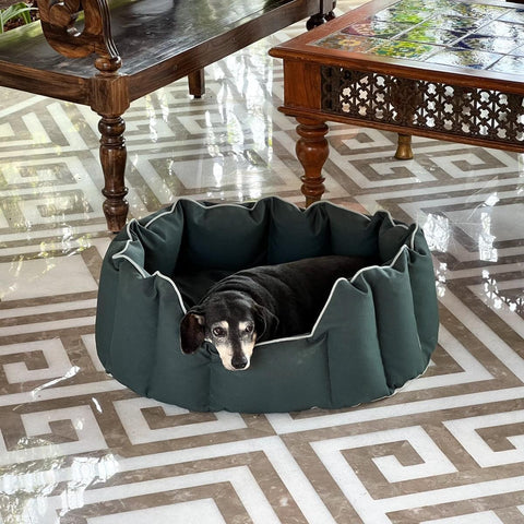 Acrylic Coated Dog Bed - Medium - Kyoko - Pine Green