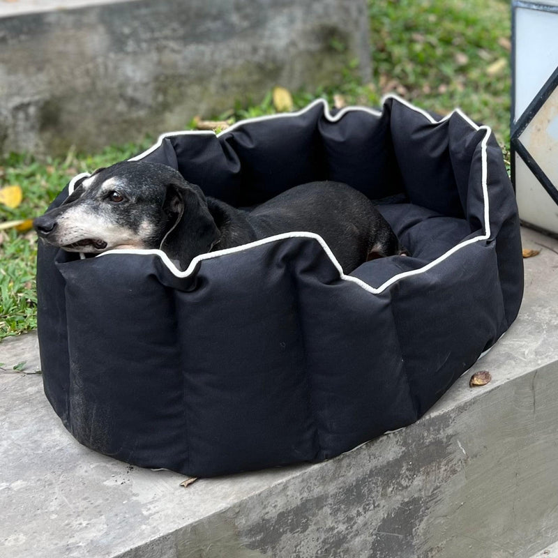 Acrylic Coated Dog Bed Medium Kyoko Midnight Black
